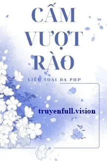 Cấm Vượt Rào - Liễu Toái Dạ Phi