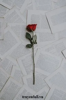 Cành Hồng Năm Ấy