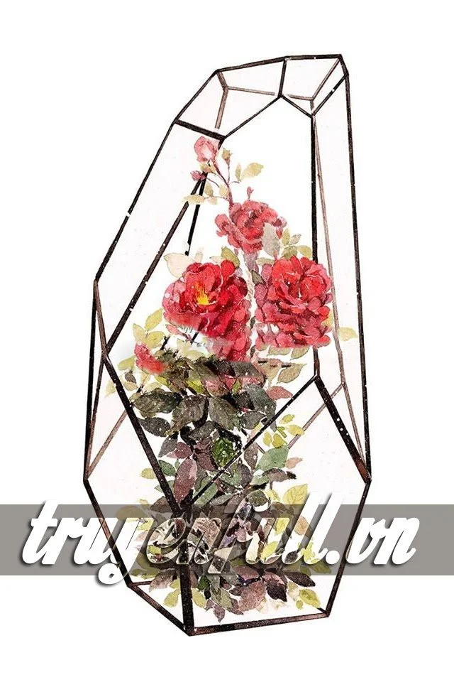 Đoản Ngọt - Tình Văn