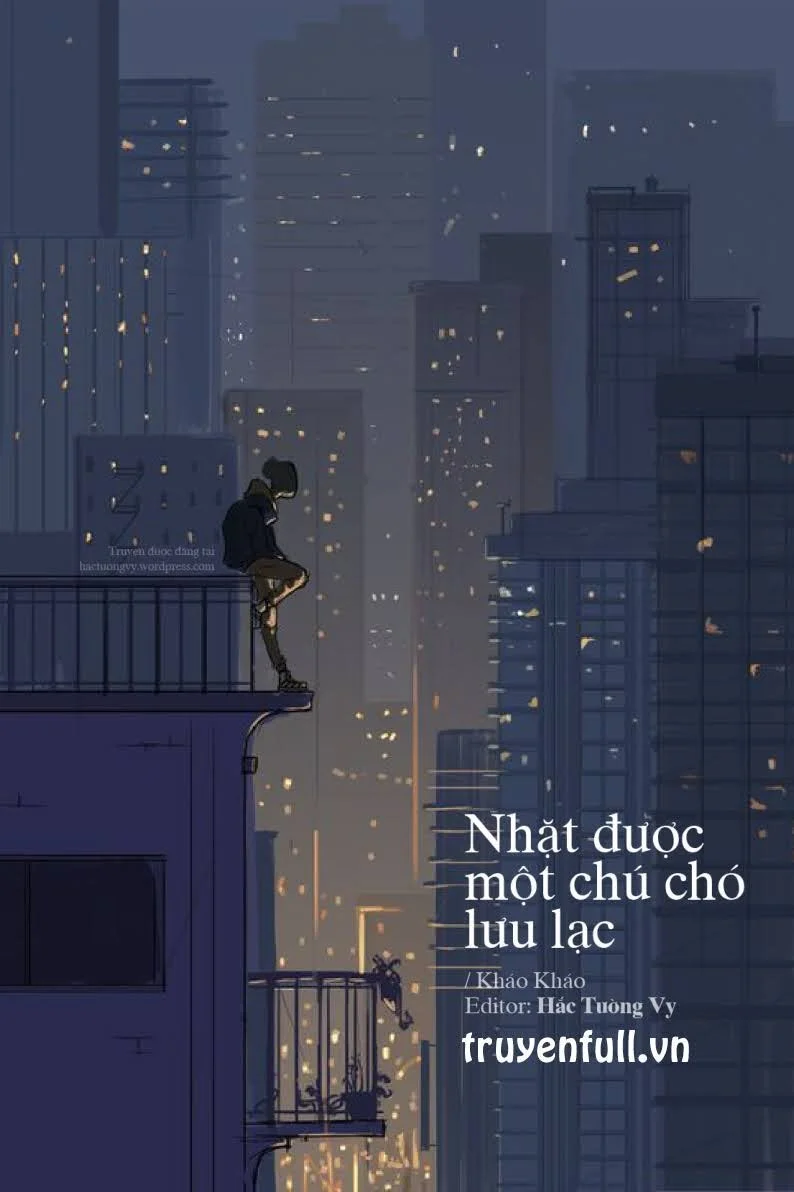 Nhặt Được Một Chú Chó Lưu Lạc