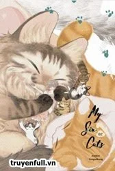 Sáu Con Mèo Tranh Nhau Muốn Nuôi Ta