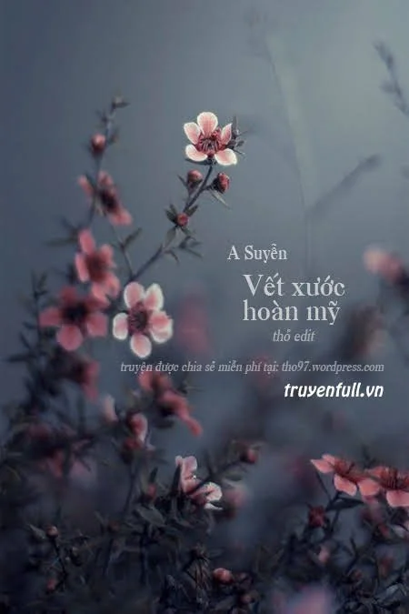 Vết Xước Hoàn Mỹ