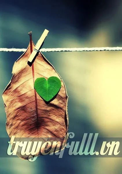 Vụng Dại Tuổi 17